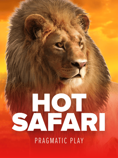 Hot Safari