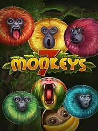 Monkeys